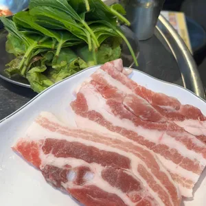 강남갈매기 사진