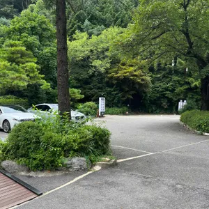 소나무향기 리뷰 사진