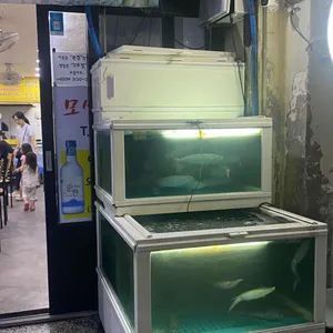 모살물 리뷰 사진