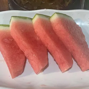 갈비숲 사진