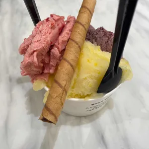 지파시 사진