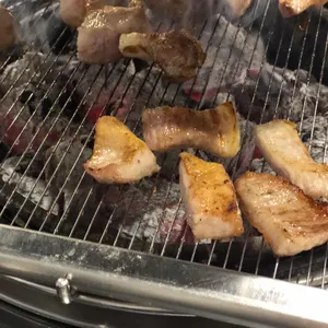 식껍 사진