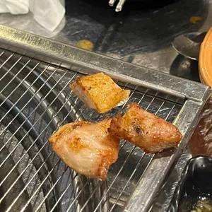 식껍 사진