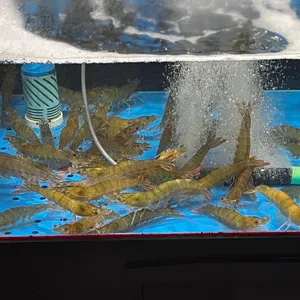 오징어선수촌 리뷰 사진