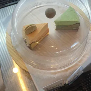디벙크 사진