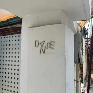당스 리뷰 사진