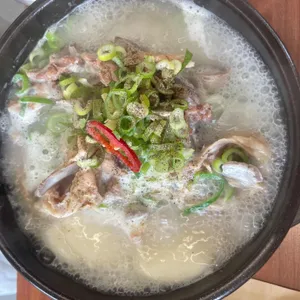 본날 사진
