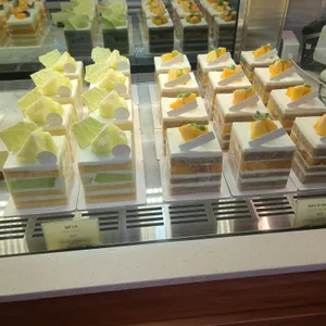 쇼토 리뷰 사진