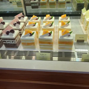 쇼토 리뷰 사진