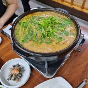 신한강오리 사진