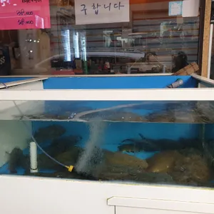 오징어우미 리뷰 사진
