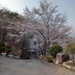 언덕위의 집 리뷰 사진