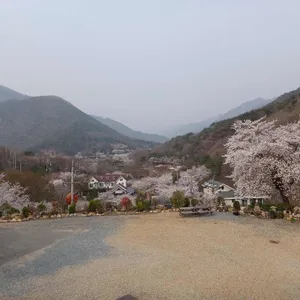 언덕위의 집 리뷰 사진