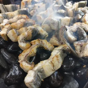 일대교몽돌장어 사진