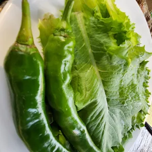 별당보리밥 사진