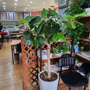 별당보리밥 리뷰 사진