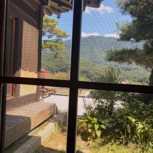 민들레울 리뷰 사진