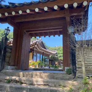 민들레울 리뷰 사진