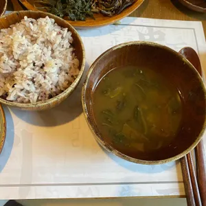 민들레울 사진