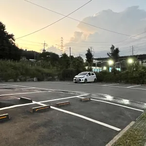 메밀꽃담 리뷰 사진