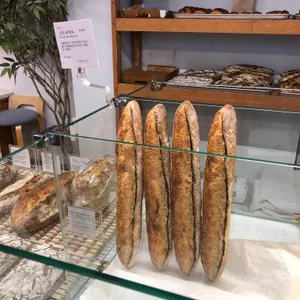 뺑드에코 사진