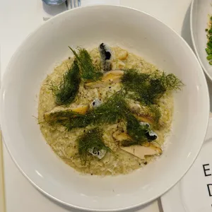 틸트틸트 사진