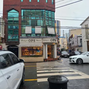 옵스 리뷰 사진