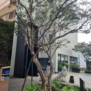 맷카페 리뷰 사진