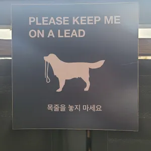 스태픽스 리뷰 사진