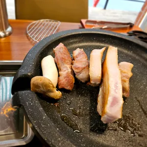 돼지소한마리 사진