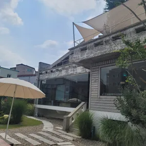 고양이똥 리뷰 사진