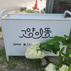 고양이똥 리뷰 사진