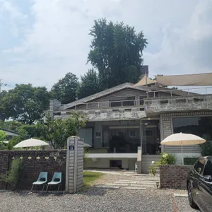 고양이똥 리뷰 사진