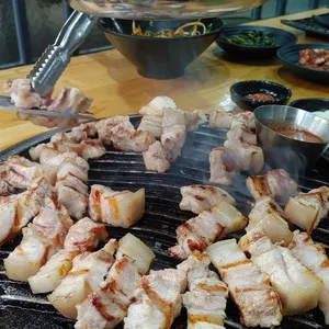 진돼지 사진