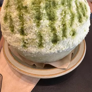 눈솜 사진