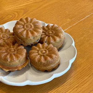 눈솜 사진