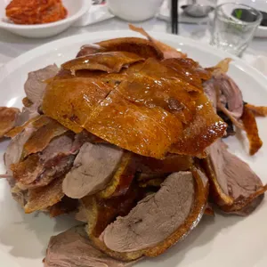 베이징코야 사진