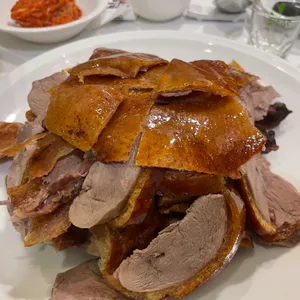 베이징코야 사진