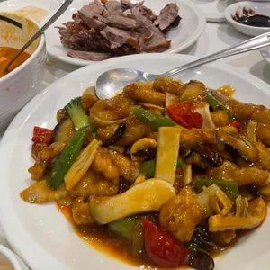 베이징코야 사진