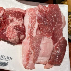 거북이동네 사진