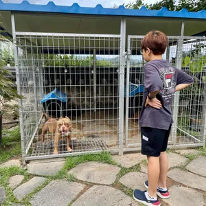 메밀꽃필무렵 리뷰 사진