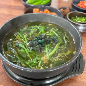 금강올갱이 사진