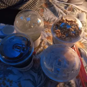 매머드익스프레스 사진