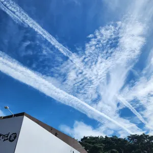 안면가 리뷰 사진