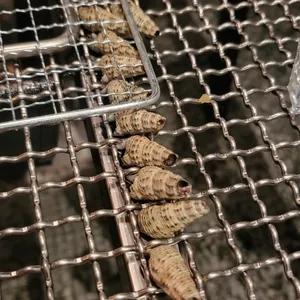 조판장 리뷰 사진