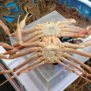 영광회대게센타 리뷰 사진