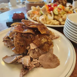 베이징코야 사진