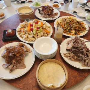 베이징코야 사진