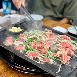 장수오리 사진