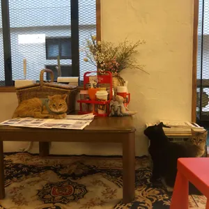 후미후미 리뷰 사진